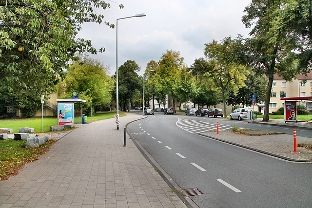 Flutweg (Duisburg-Bergheim) / 22.09.2017