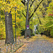 Herbstliche Schilderallee - Autumn avenue with traffic signs - HFF