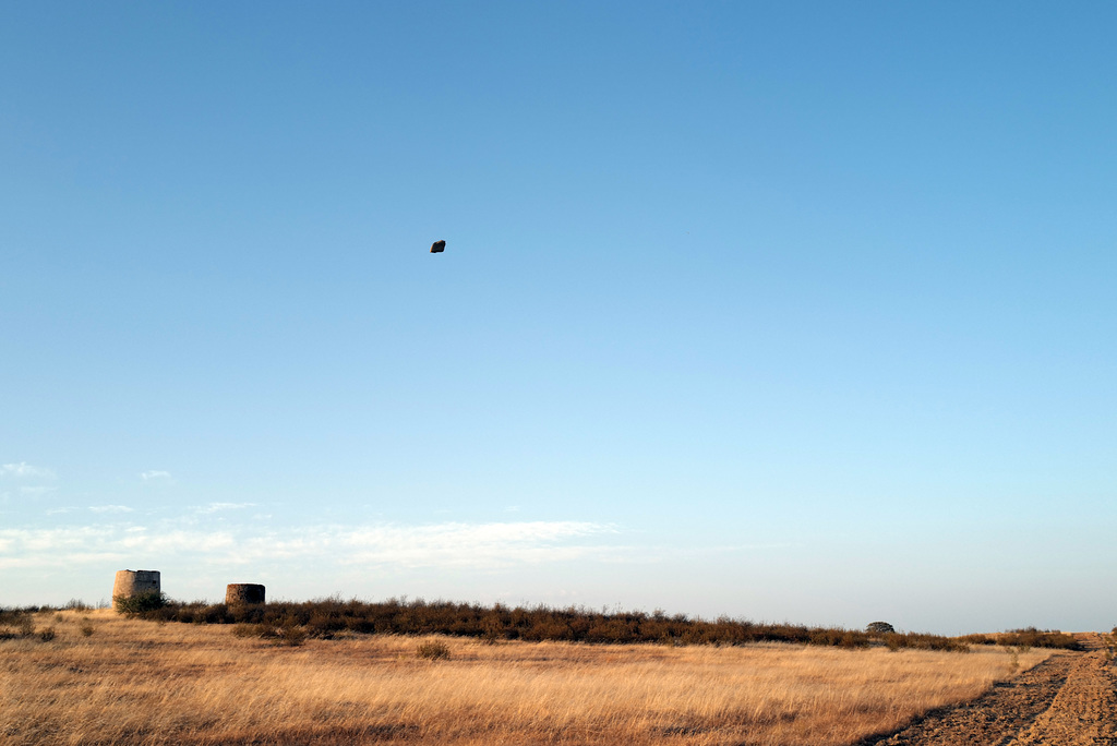 Flying stone L1010159