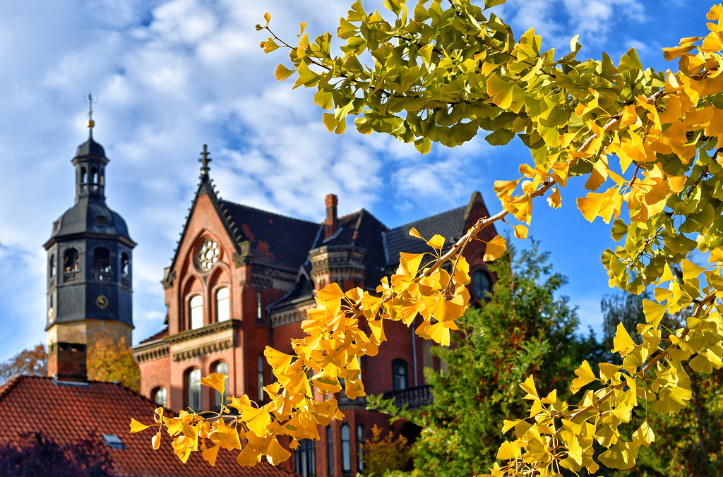 Moritzberg im Herbst