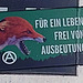 1 (125)...austria vienna...sticker..words...Antifa...for a life without exploitation