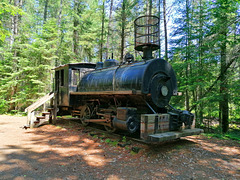 Algonquin NP, Kanada Algonquin NP, Kanada