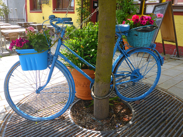 Blaues Fahrrad - blua biciklo