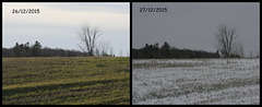 hier et aujourd'hui / yesterday and today