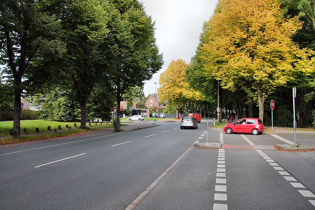 Kreuzacker (Duisburg-Bergheim) / 22.09.2017