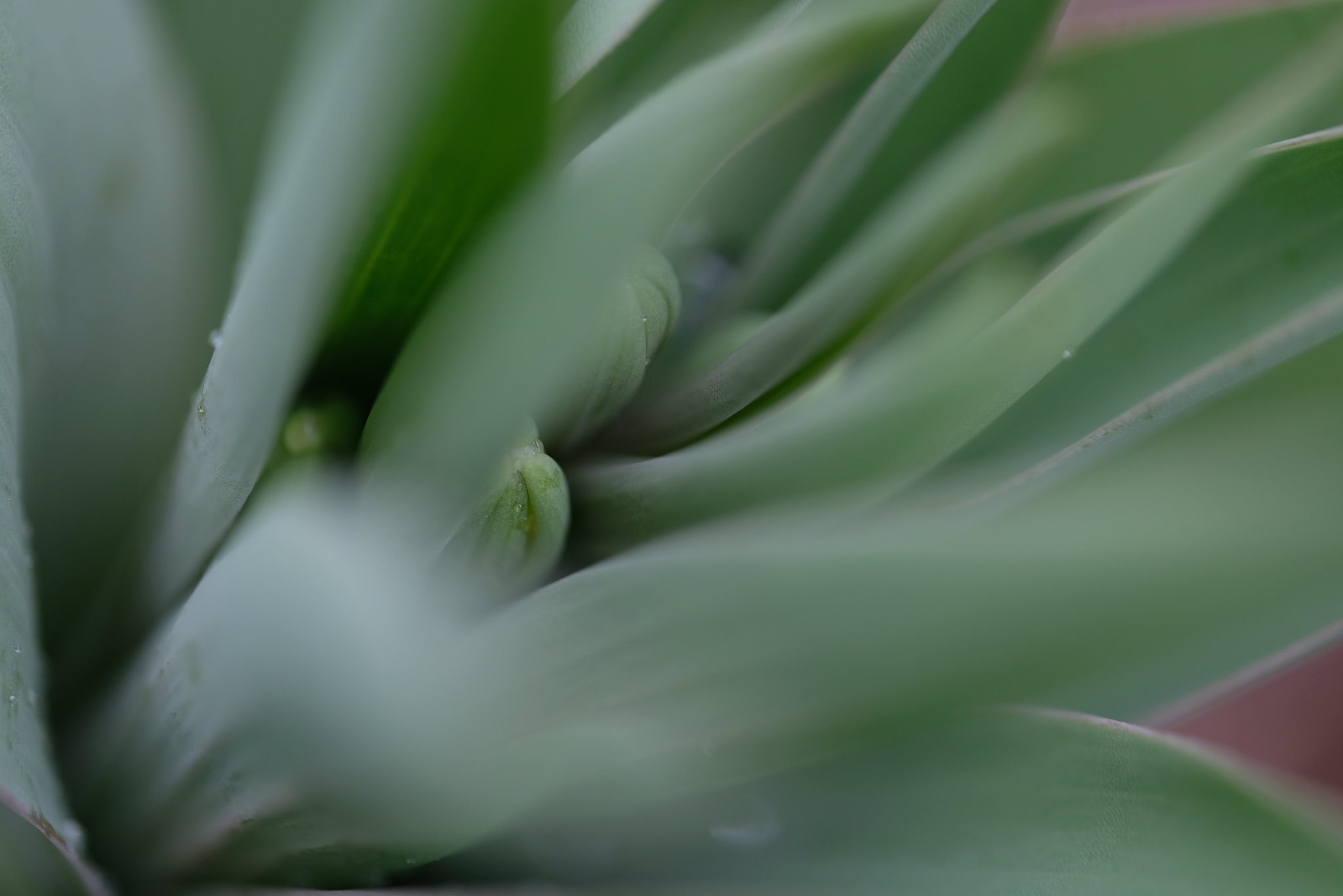 DSCF2740