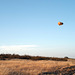 Flying stone gathers no moss!