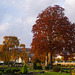 Herbstlicher Blick auf den Stadtfriedhof Beverungen II