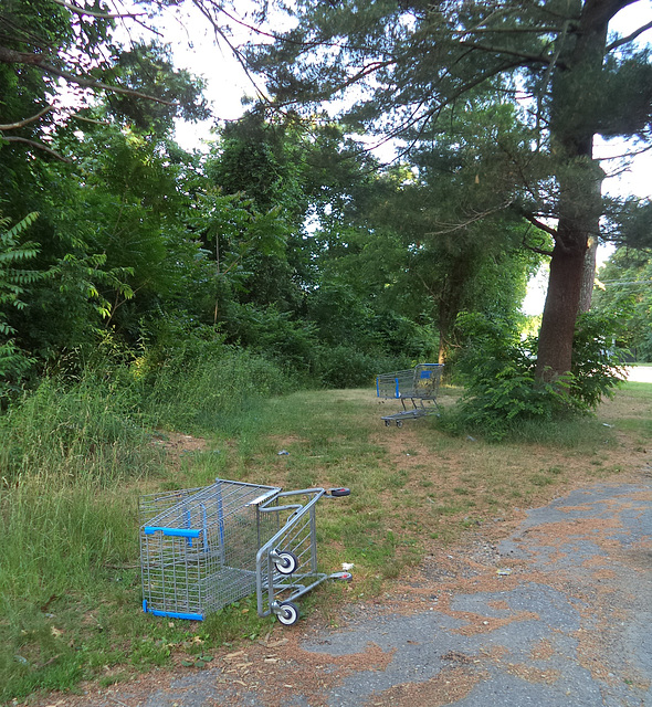 Chariots pour les personnes SDF / Homeless carts