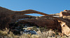 Arches National Park Landscape Arch (1717)