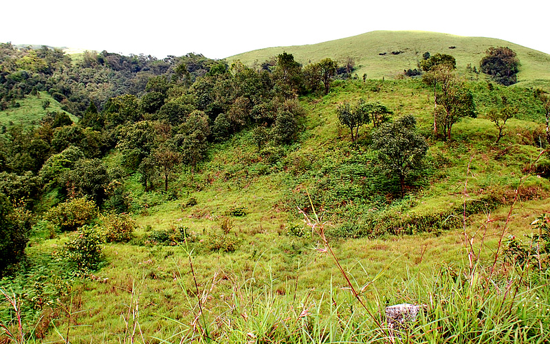 Western Ghats