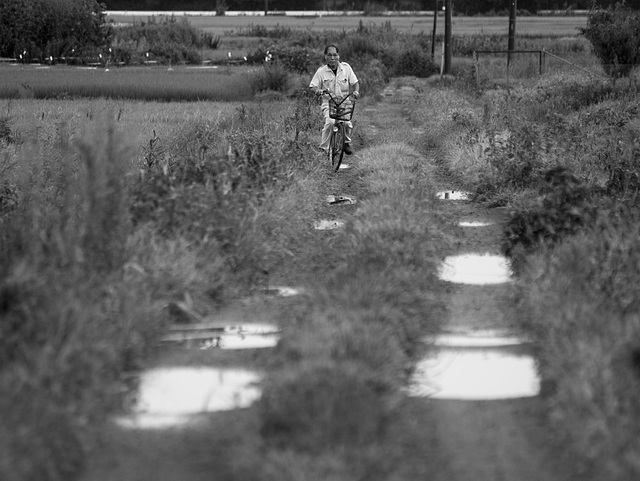 Farm road after the typhoon rain