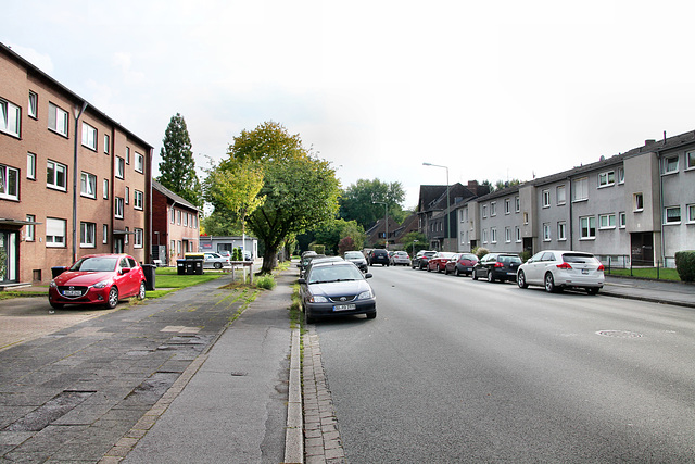 Bergheimer Straße (Duisburg-Bergheim) / 22.09.2017