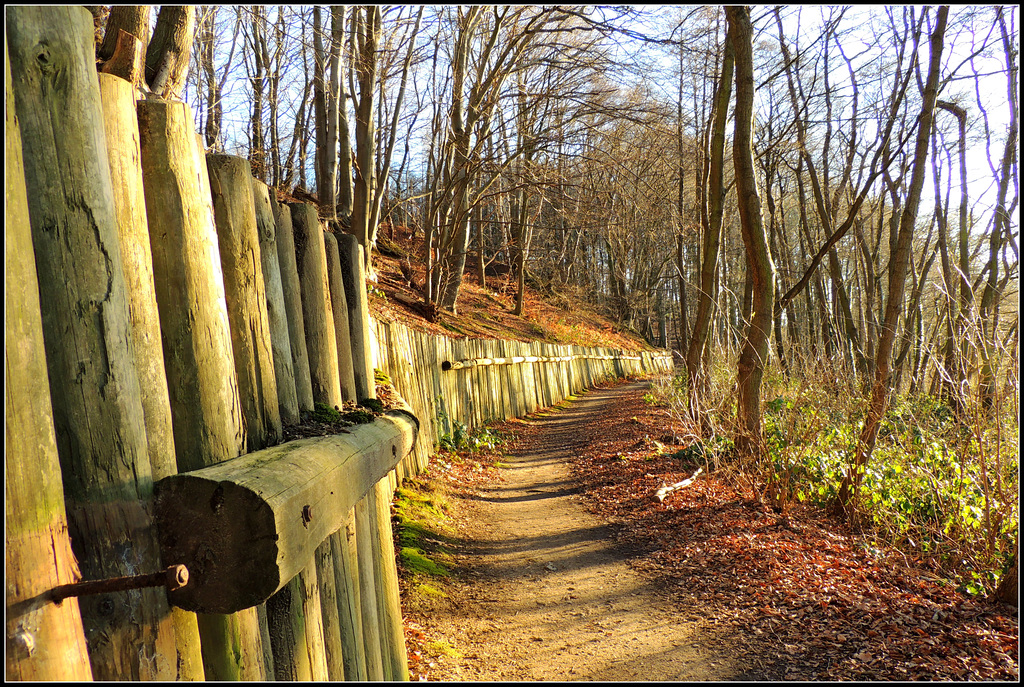 Nail Fence