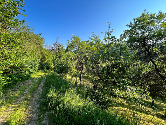 Auf dem Bergheidenweg