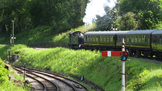 Dean Forest Railway