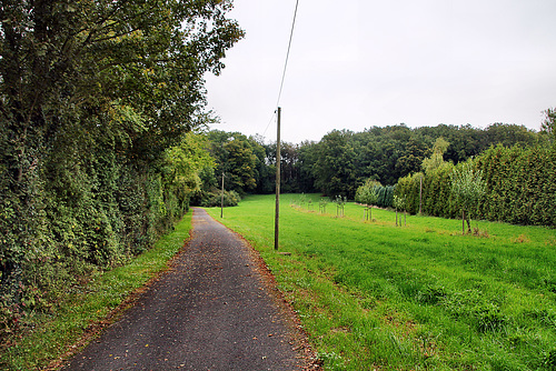 Schacht-VI-Weg (Bönen-Flierich) / 9.10.2023