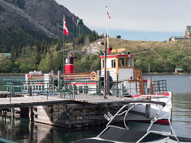 Waterton NP