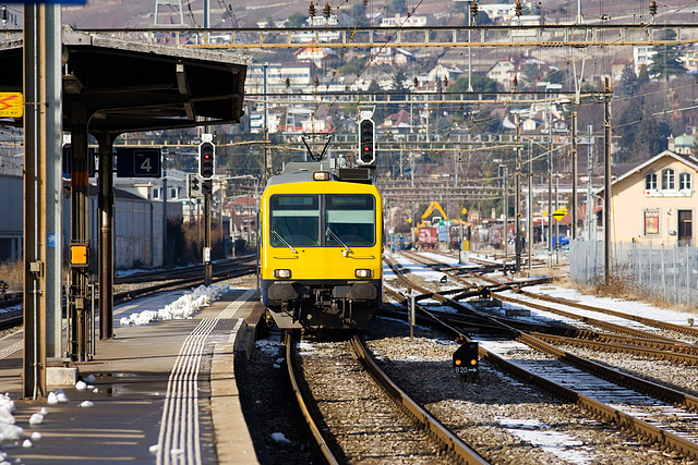 100204 Vevey NTN vigne