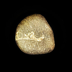 dragonstone 1