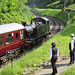 Dean Forest Railway