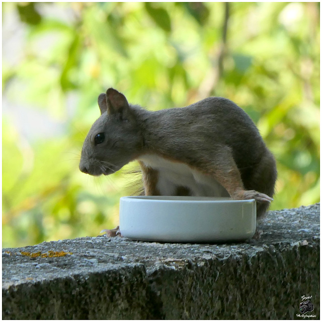 Quand est-ce qu'on mange ???