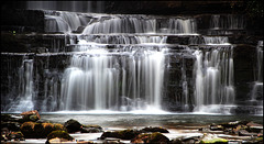 Cotter Force