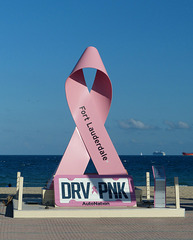 DrivePink (1) - 21 October 2018