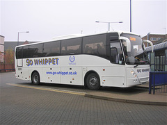 Go-Whippet (Whippet Coaches) SF05 XYZ in Bury St Edmunds - 5 Nov 2011 (DSCN7115)