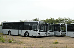 New MCV eVoRa bodied Volvos at MCV, near Ely - 25 Jul 2021 (P1090099)