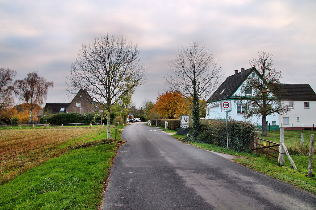 Oberer Hilding (Voerde-Götterswickerhamm) / 19.11.2022