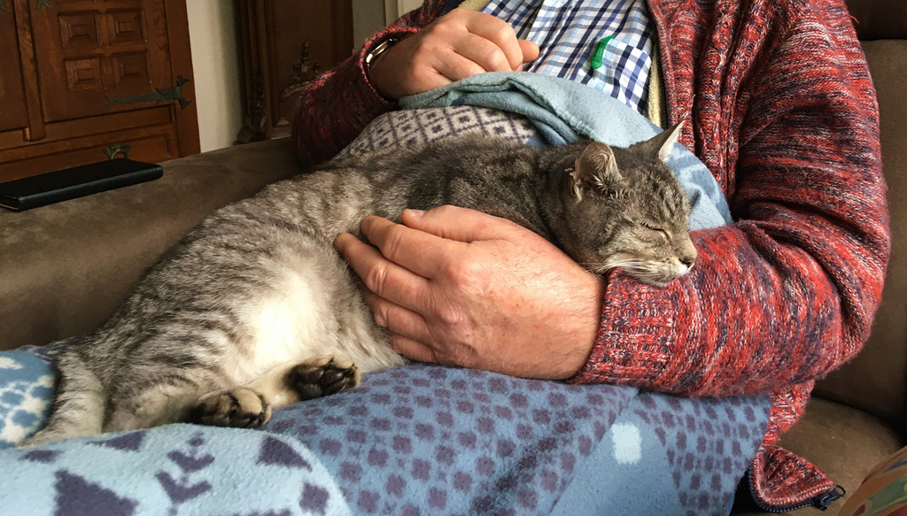 La sieste de 13h