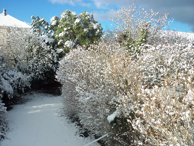 View from the bathroom window