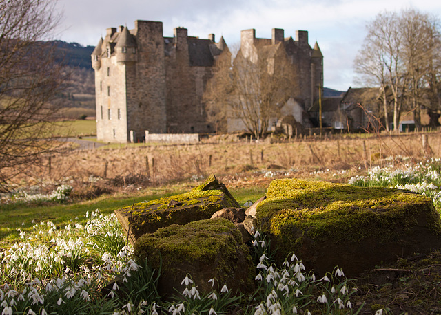 Snow drops (and Castle Menzies)