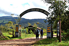Bhagavathi Nature camp *