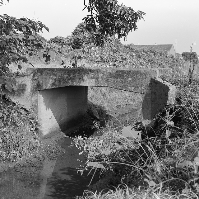 Concrete bridge