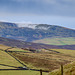 Kinder Low