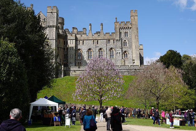 Plant hunters descend on the stalls