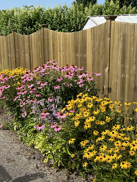 Fence along the walking path