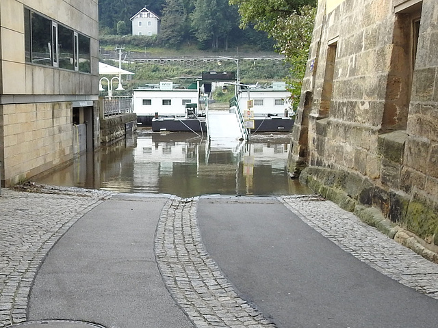 Elbe-Hochwasser 2024, Bad Schandau