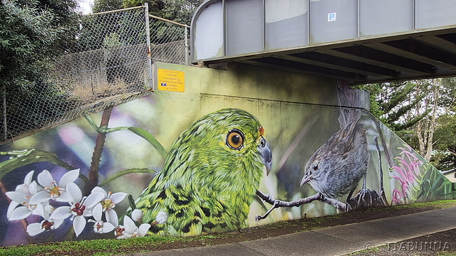Kiama mural