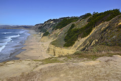 Windswept – San Gregorio Beach State Park, San Mateo County, California