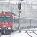 091219 NTN Lausanne neige