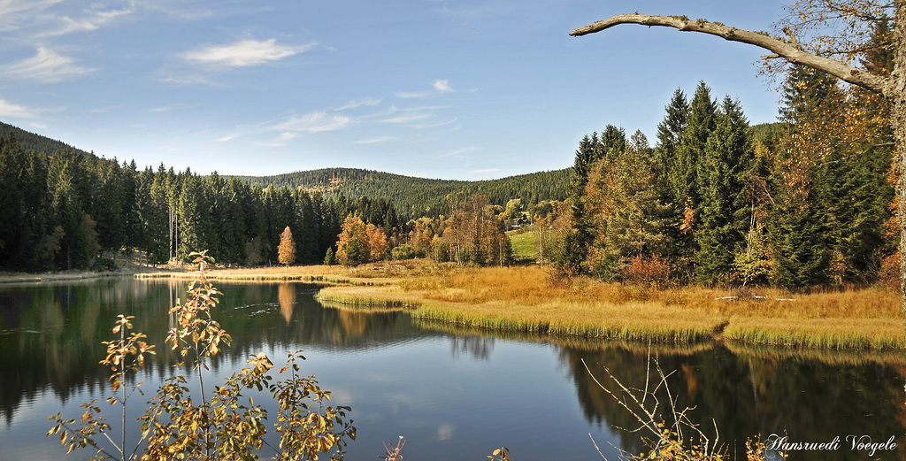 Am Schluchsee