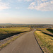 Panorama auf der Halde Hoheward (Herten) / 15.10.2018