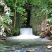 Forest of Dean culvert