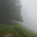 Auf dem Wanderweg zur Hand