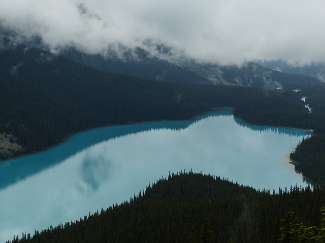 Peyto Lake from the Lookout