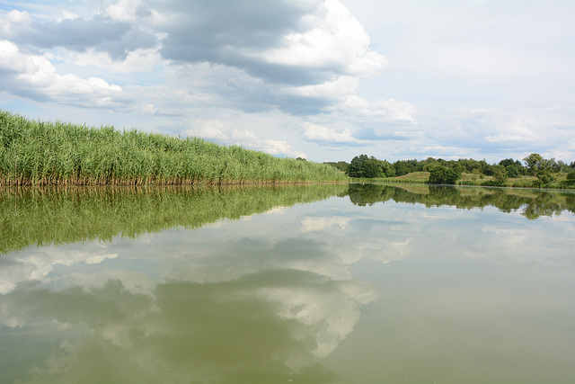 Украина, Зеркальная поверхность реки Гнилопять / Ukraine, Mirror surface of the river of Gnilopyat