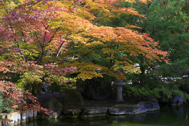 Autumn color at Manito